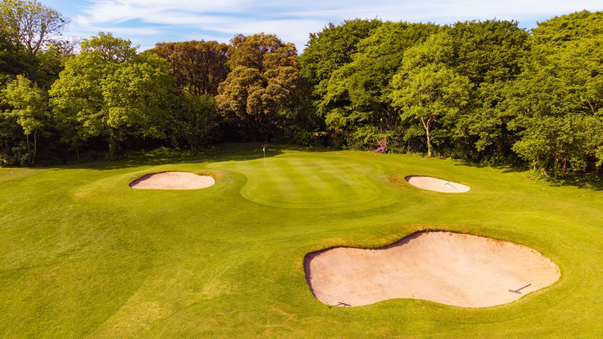 An aerial view of Tehidy Park's green and surrounding parkland.