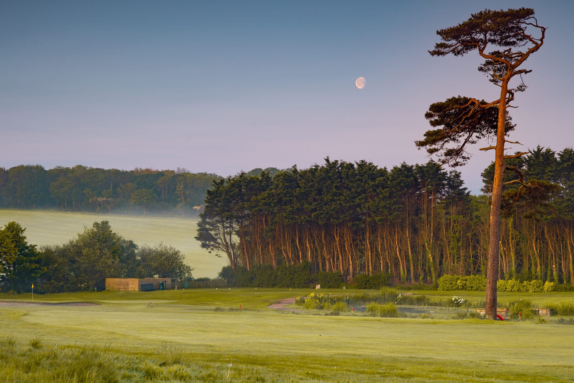 Dawn mist and a yellow flag across Tehidy Park Golf Club's course in club-supplied photography.