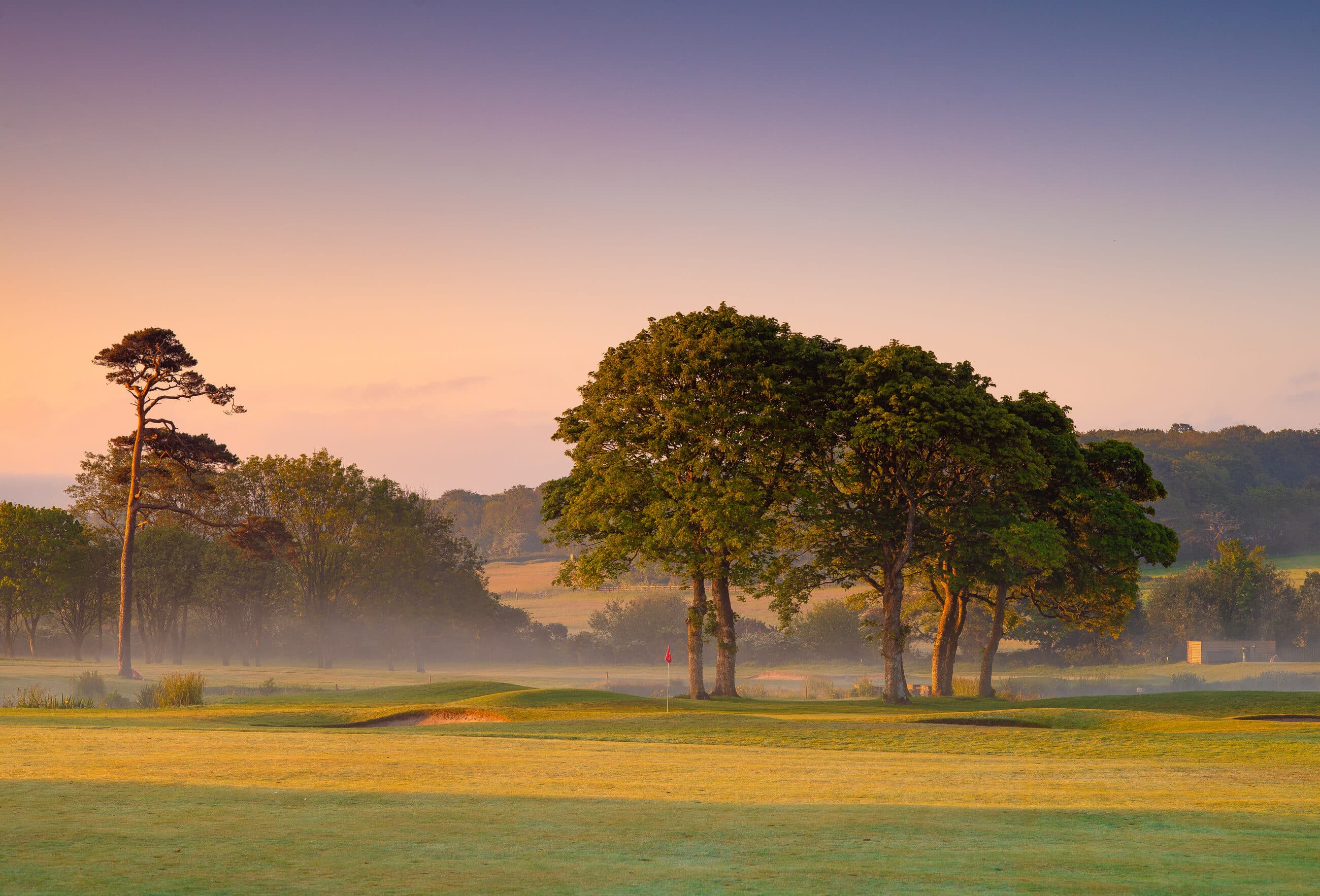Early light and low mist around the distinctive trees and green at Tehidy Park.