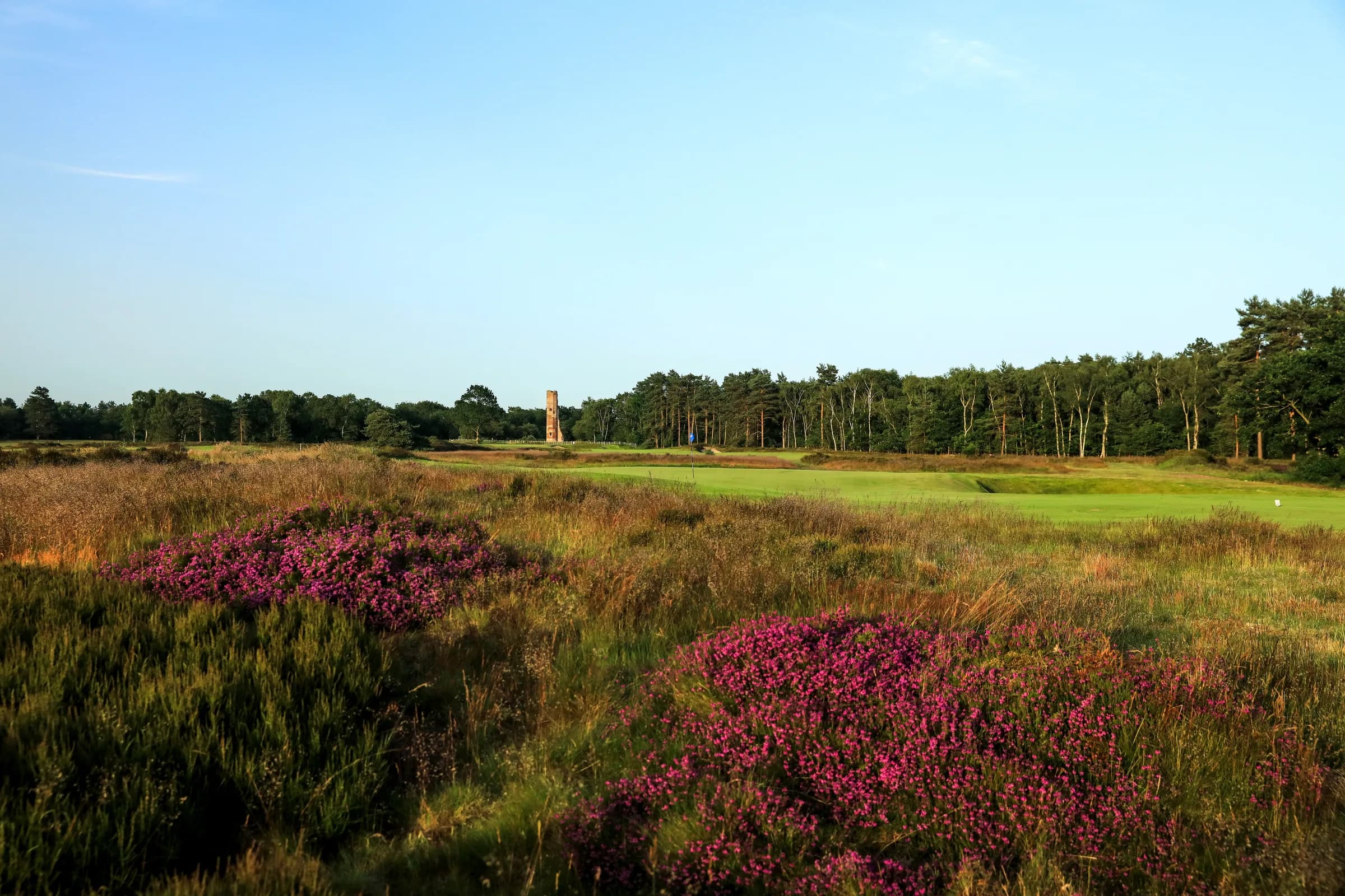 Original Woodhall Spa case-study image of heather, a green and the course.