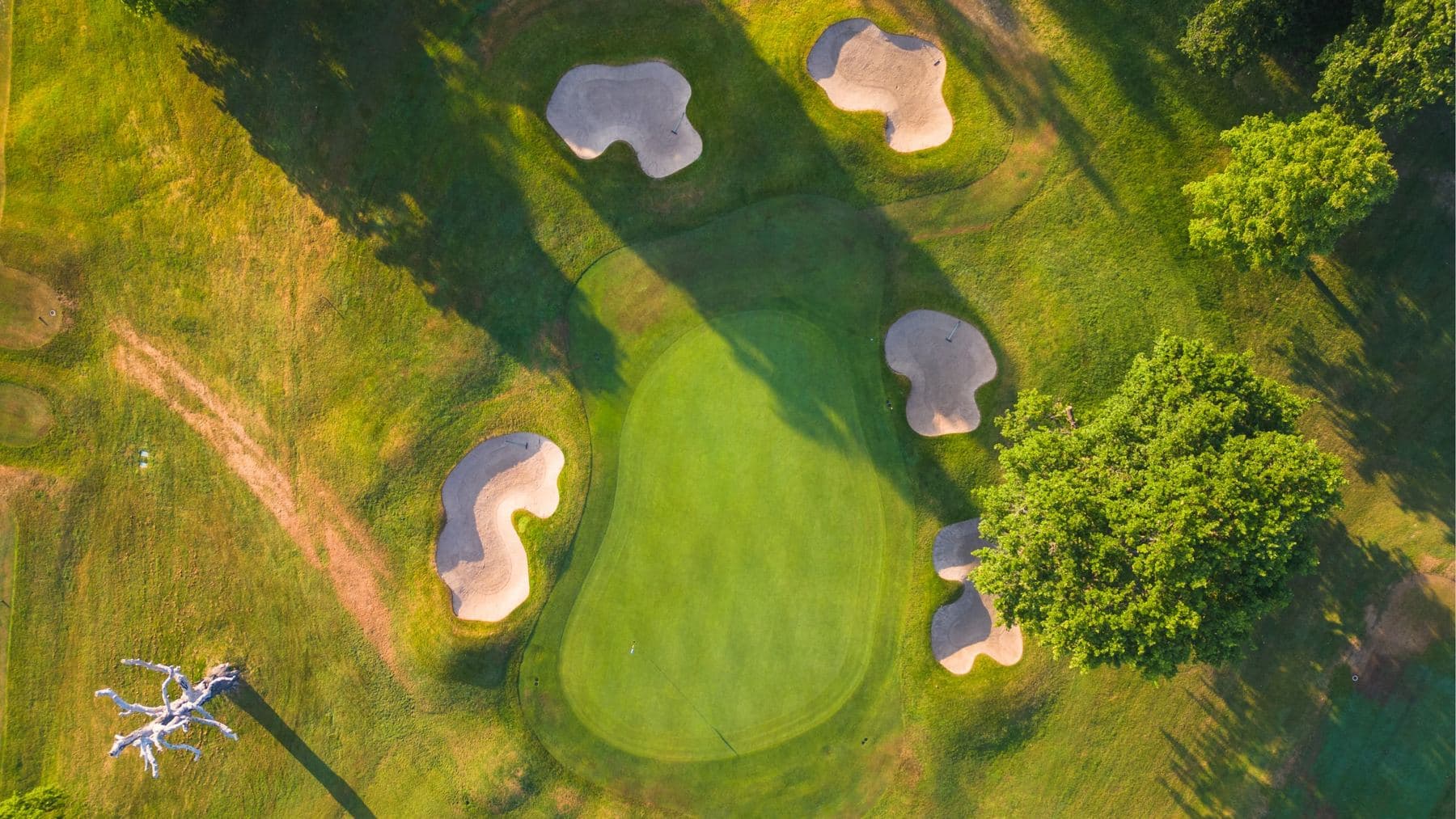 Sculptural bunkers around a green, seen from above