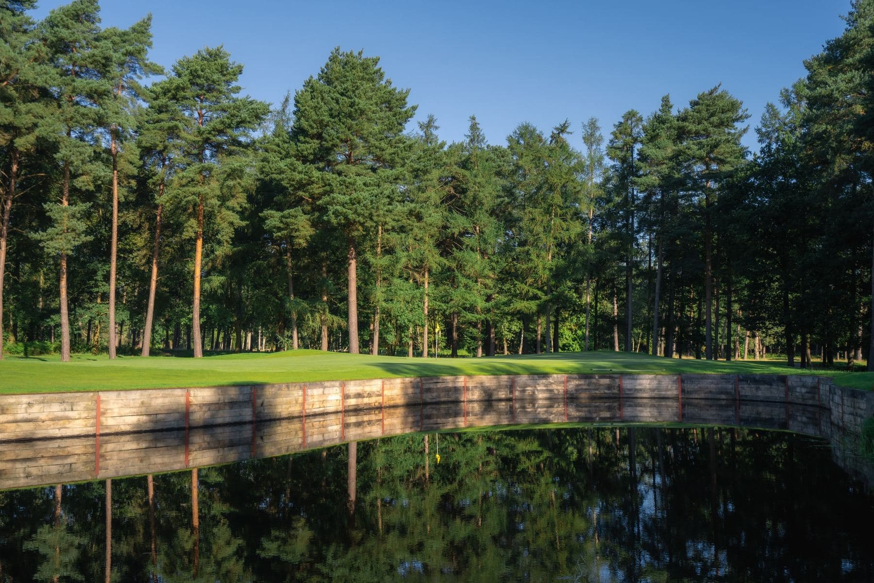 A green and tall pines reflected in still water