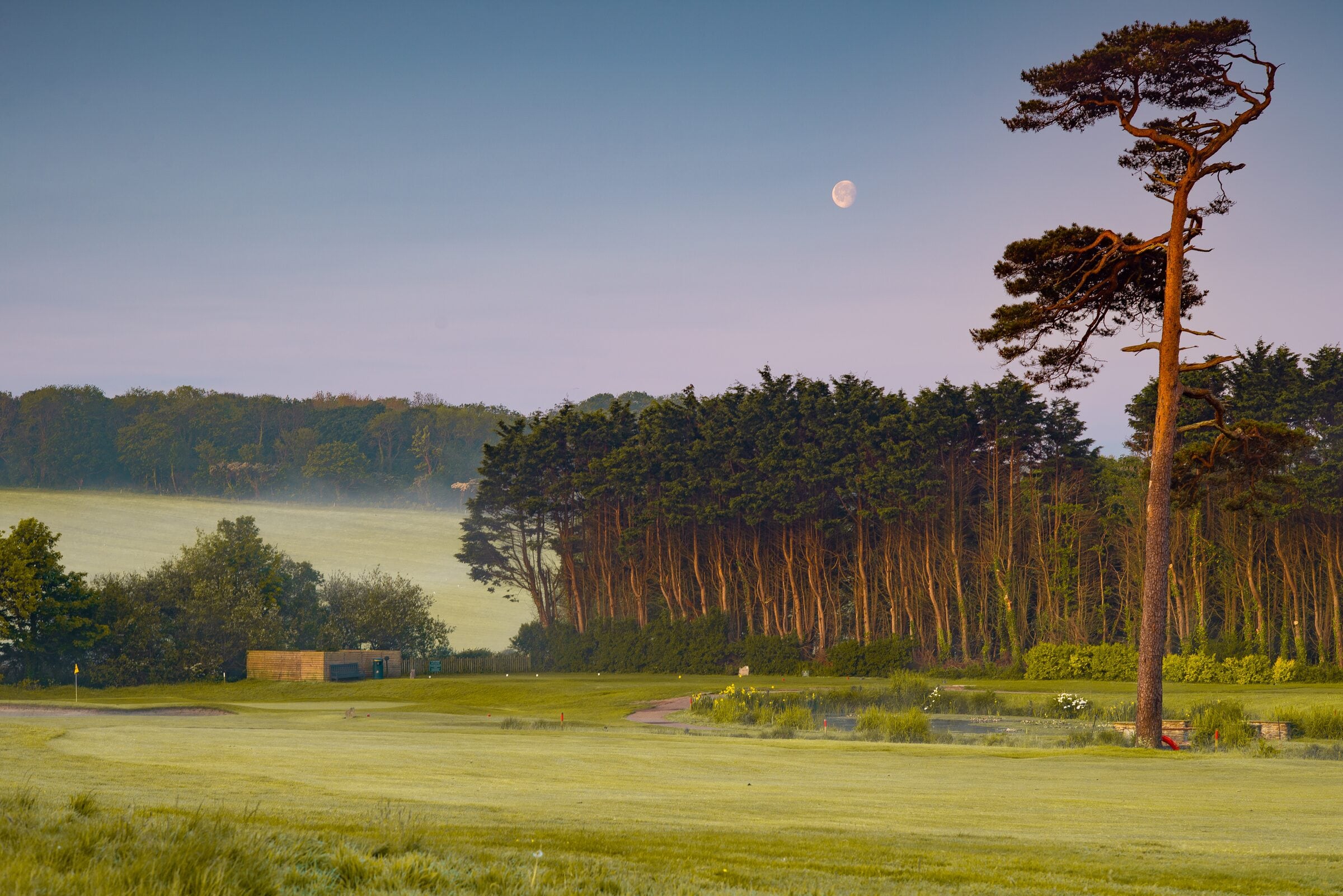 Dawn mist over Tehidy Park Golf Club's course.