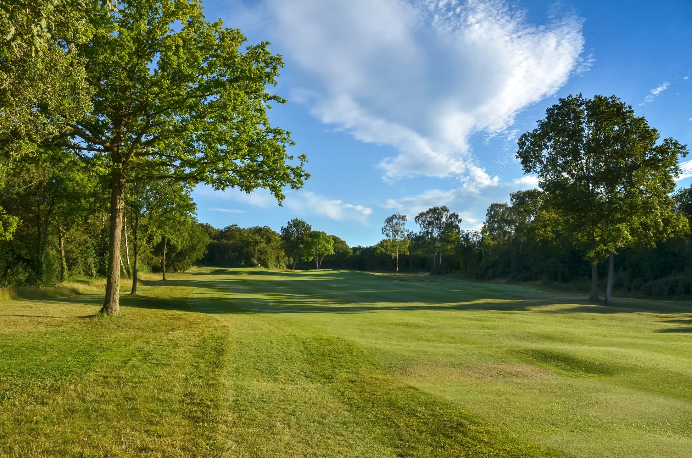 The first hole at Banstead Downs in clear evening light, framed by mature trees.