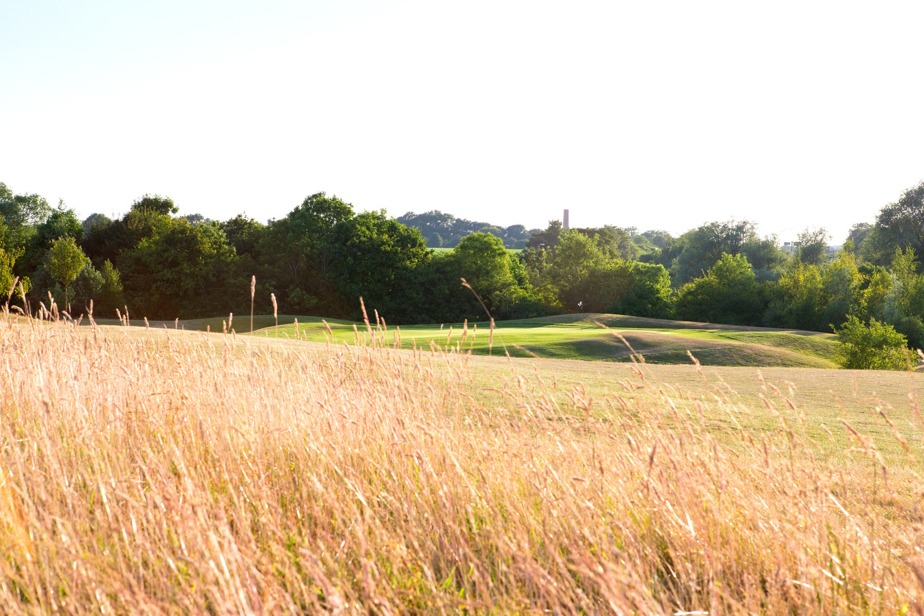 Original Stonebridge course photograph with the green beyond tall summer grasses.