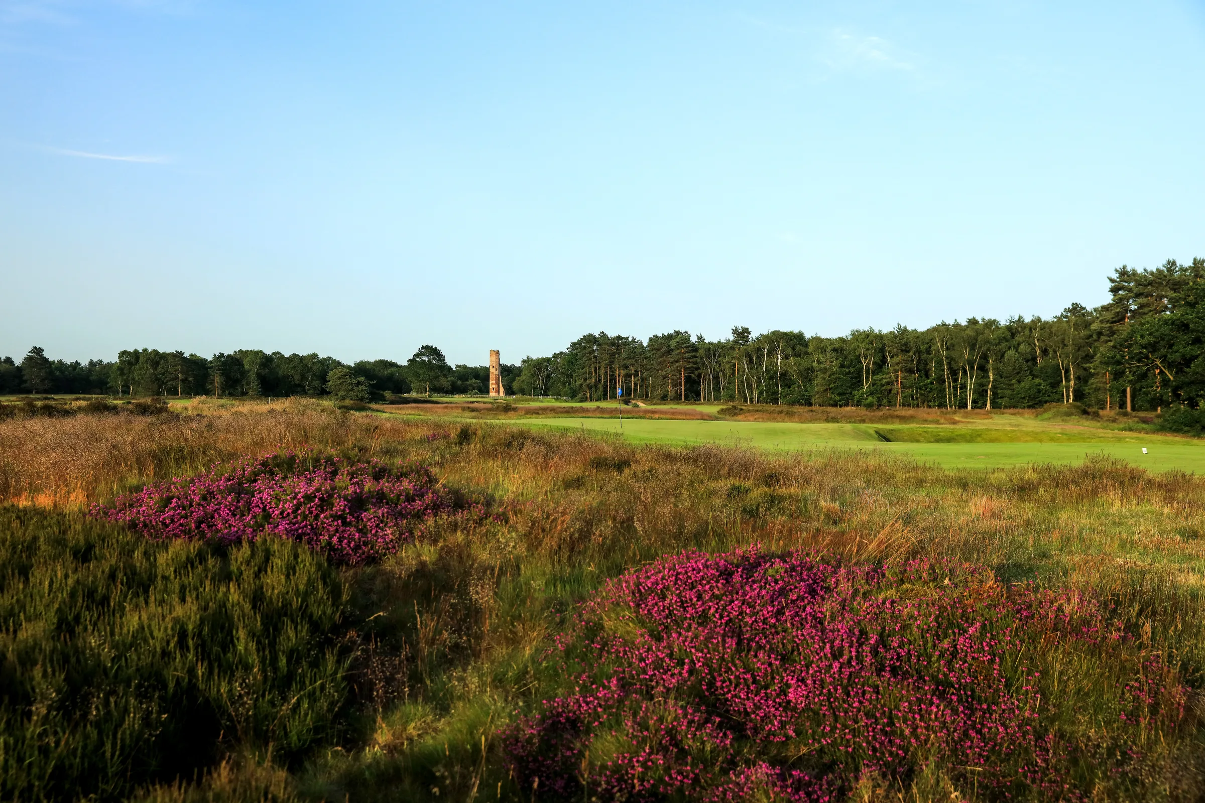 Heather, a green and the wider landscape of Woodhall Spa's Hotchkin Course.